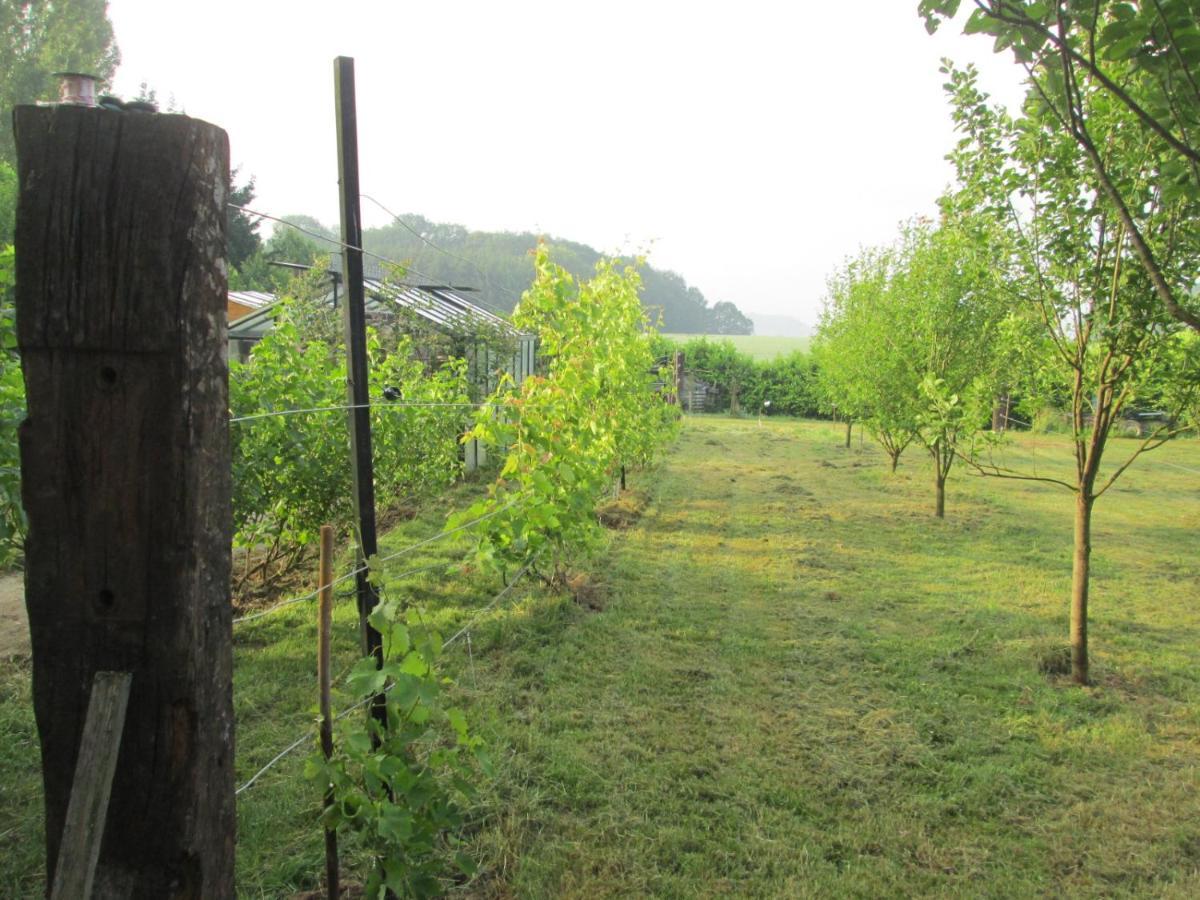 Florennes Gite Neuf 150 M2 Devant Un Grand Lac Prive De 2 Hectares Poissonneux Au Milieu Des Bois Villa Ngoại thất bức ảnh